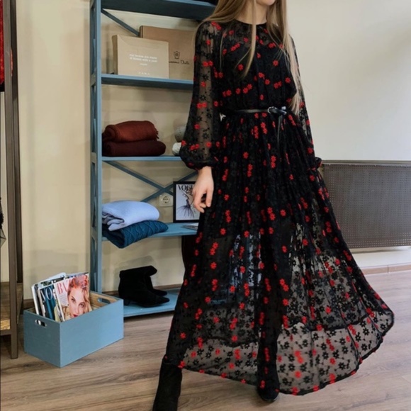 🌹NWT Zara Oversized Dress W Floral Embroidery🌹 - Picture 7 of 16